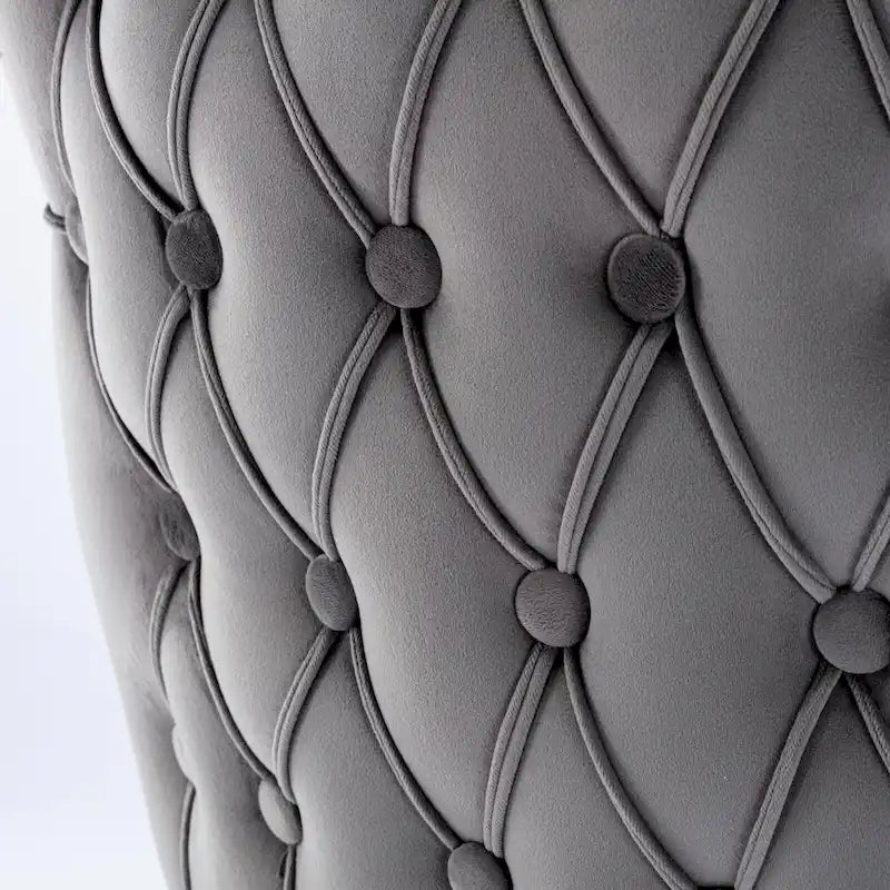 Velvet Upholstered Dining Chair with Wing Back Modern Kitchen Chair with Nailhead Trim Wood Frame Side Chair, Set of 2